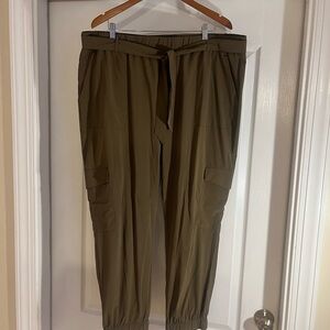 Banana Republic Olive Green Pants XXL
